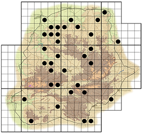 Ficus abutilifolia Waterberg distribution